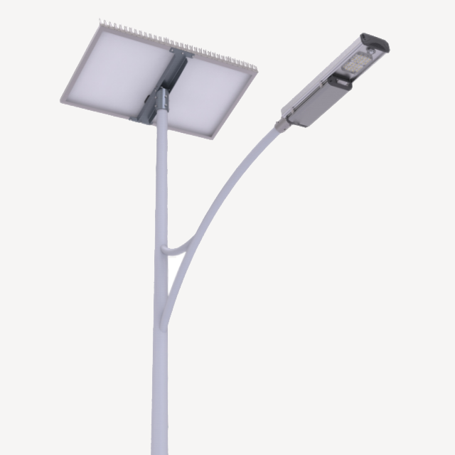 Freedom Plus Series Solar LED Street Light
